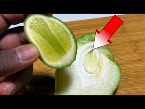 ¡Mezcla chayote y limón y mira lo que pasa!