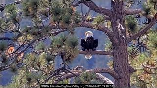 9-7-26 Wings over the long weekend