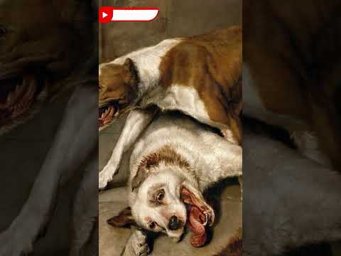 💥Esto sucede cuando un Humano enfrenta un Perro