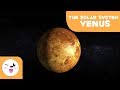 Exploring the Mysteries of Venus: The Planet of Love