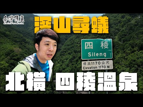 【深山尋蟻】北橫－四稜溫泉篇｜差點迷路！｜棘山蟻、擬家蟻、山蟻亞科｜【臺灣蟻窟】