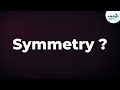 Exploring the Concept of Symmetry