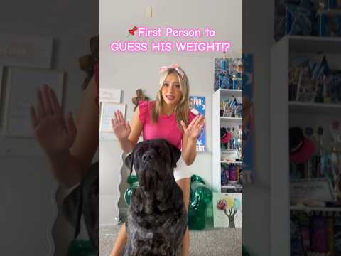 Can’t wait 2 see your answers #shorts #shortsfeed #dog #dogshorts #pets #puppy #trending #ytshorts