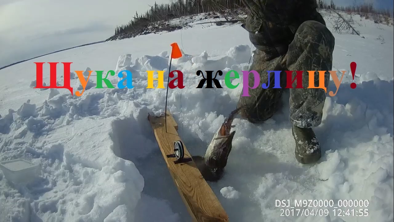 Щука на жерлицу Съемки щуки под водой