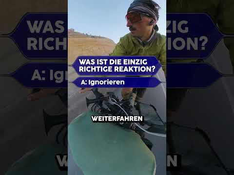 Was tun bei aggressiven Hunden?