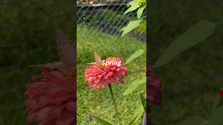 p.m. sunsets are coming so soon 🙏 #mentalheath #mindfulness #spring #springtime #headspace