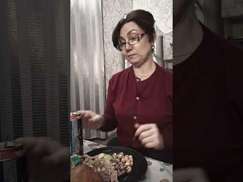 Кто виноват?