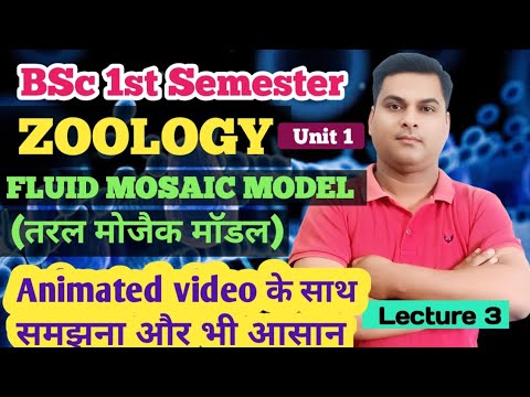 Fluid Mosaic Model of Plasma Membrane in Hindi//BSc 1st Semester Zoology Unit 1//Fluid Mosaic Model