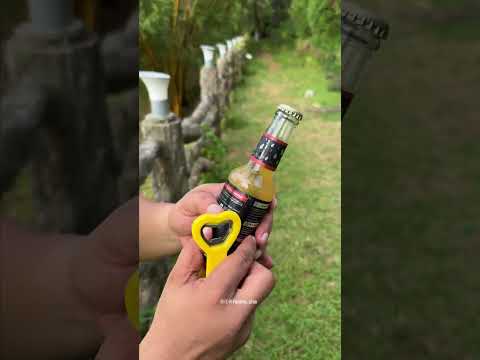 KOMBUCHA |Foodie Sha|