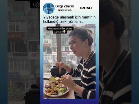 Yiyeceğe ulaşmak için martının kullandığı zeki yöntem👏😂