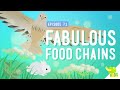 Understanding Food Chains and Ecosystems