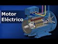 Cuestionario sobre Motores de Inducción