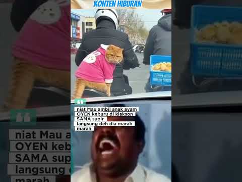 OYEN KETAHUAN‼️ #funny #shortvideo