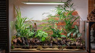 Building a Giant Jungle Paludarium for Vampire Crabs