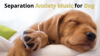 DOGS MUSIC 🐶🎵 Deep Separation #Anxiety Music for #Dog Relaxation! 🐶💖Dog #Calming Sleep Music 🐶