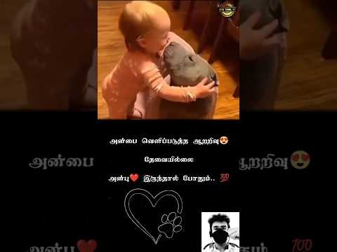 Dogs Never lie about Love..❤️💯|Tamil  Motivational speech |#dog #animals #love #motivation #shorts