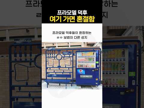 일본 여기 가면 진짜 프라모델 덕후들 기절함