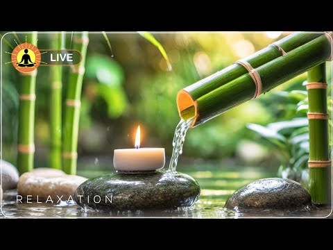 &#128308; Peaceful Sleeping Music for Relaxing 24/7 &#127807; Spa Relaxing Music for Healing Massage | Stress Relief