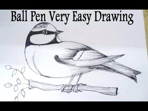 How to Draw Sparrow with Ball Pen Drawing