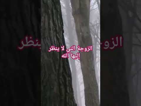 الزوجة التي لا ينظر إليها الله