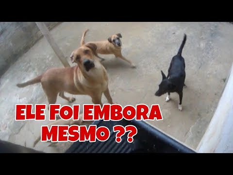 O Bito foi realmente jogado na rua ?? olha o que aconteceu