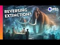 De-Extinction and Genetic Analysis Concepts