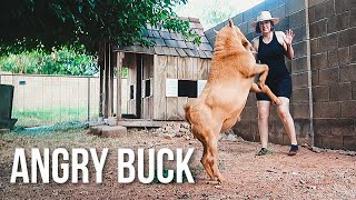 He Tried to Kill Me… So I Tried This