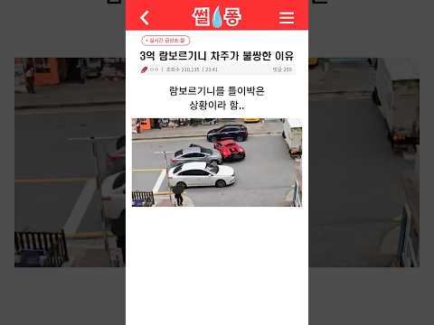 3억 람보르기니를 들이박은 아반떼