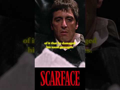 Did you notice these details in Scarface (1983)?