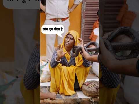 सांप को सपेरे से बचाया! 🐍 #trending #viralvideo  #cobra #snakerescue #snake
