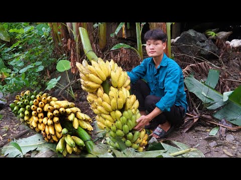 Harvest bananas, go to the market to sell, Make banana cake, My daily life