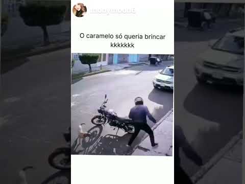 ELE SÓ QUERIA BRINCAR #curtos #memes #humor #funny #comedia #engraçado #caramelos #cachorro #pets
