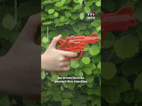Elle commande un pistolet à eau pour son fils, elle apprend qu'elle a un casier judiciaire|TF1 INFO