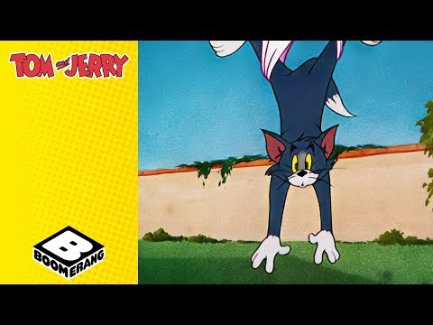 Tom Takes to the Skies  | Flying Cat |  Tom & Jerry | @BoomerangUK