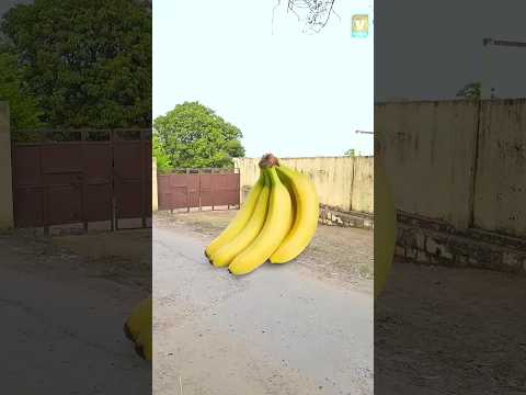 एक राम भक्त की कहानी🚩🙏 जय श्री राम🚩🙏 #shorts #trend #jaishreeram #ram #bhakti #viralvideo #trending