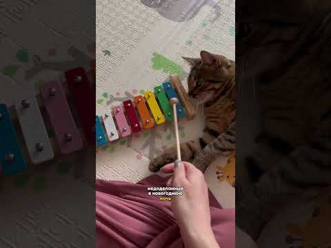 Подписывайтесь на наш блог в inst- iunskaya 💛