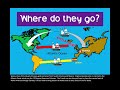 Exploring the Motivations Behind European Colonization