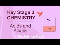 Acids, Bases, and pH Concepts
