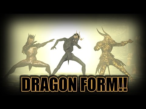 [ThePruld] Dark souls dragon form!!!