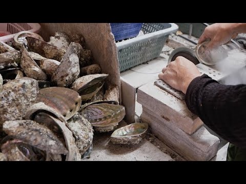 The process of creating beautiful works of art by processing large quantities of discarded seashells