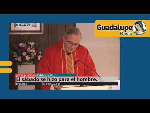 Evangelio de hoy 21/enero/2025