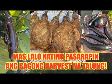 From Hardin to Hapag! TORTANG TALONG na WALANG KATULAD!♥️🍆