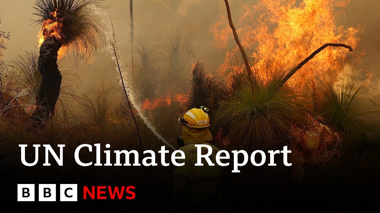 UN Climate Report: Scientists Release ‘Survival Guide’ to Avert Climate Disaster