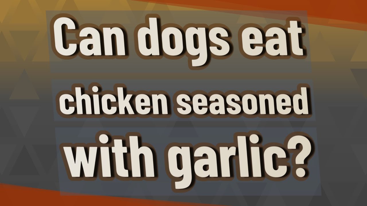 Can Dogs Eat Seasoned Chicken