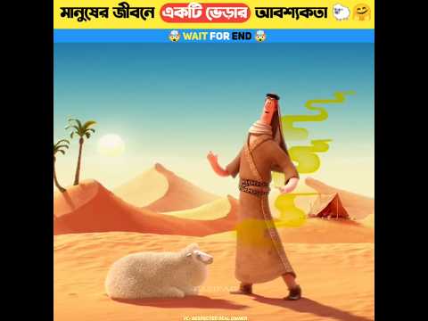 মানুষের জীবনে একটি ভেড়ার আবশ্যকতা কতটা 🐑🤯 #shorts #shortsfeed #facts #cartoon #animation