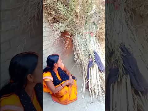 vidhya bhauji #shorts #shortsvideo #youtubshorts