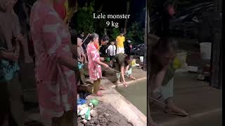 Lele monster 9 kg vs ibu ibu