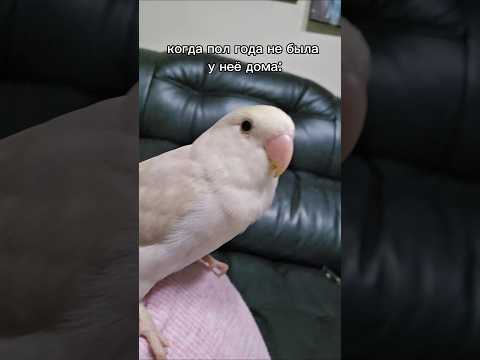 когда пол года не была у нее дома