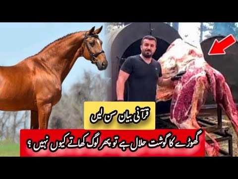 islam mein ghode ka gosht khana kaisa hai || Horse Meat in Islam || Afshan Naz