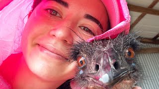 THE ANIMALS ARE OKAY! (texas floods aftermath vlog)